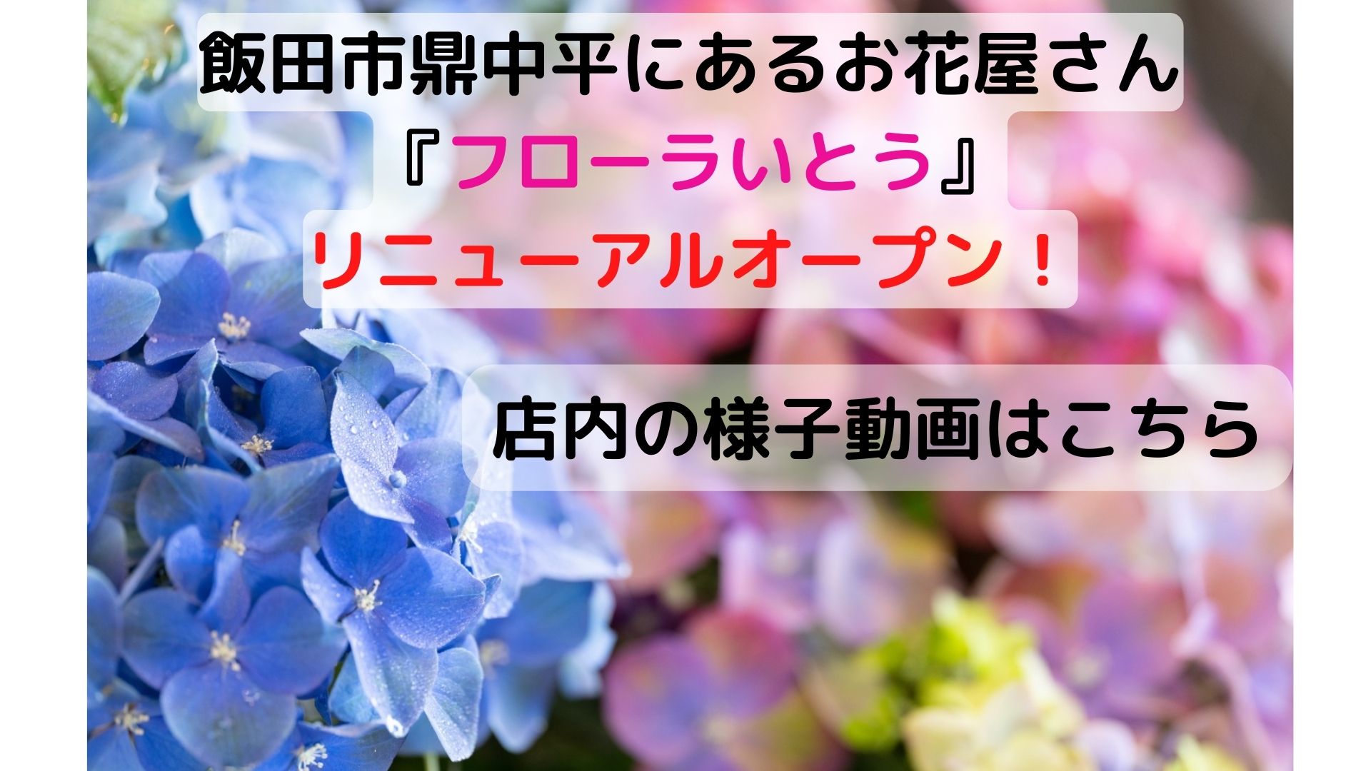 飯田市鼎中平アイホールいとう内にあるお花屋さん フローラいとう です 今日の店内の様子です 飯田市 下伊那での葬儀 家族葬ならアイホールいとう 飯田市鼎中平アイホールいとう内にあるお花屋さん フローラいとう です 今日の店内の様子です 飯田市 下伊那での葬儀 家族葬ならアイホールいとう